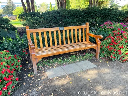 The Taylor Swift Bench, which is a wooden park bench, in Centennial Park in Nashville.