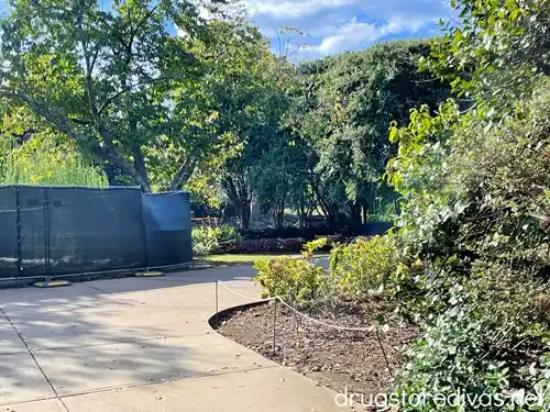 A path leading to the Sunken Gardens in Centennial Park in Nashville where the Taylor Swift Bench is located.
